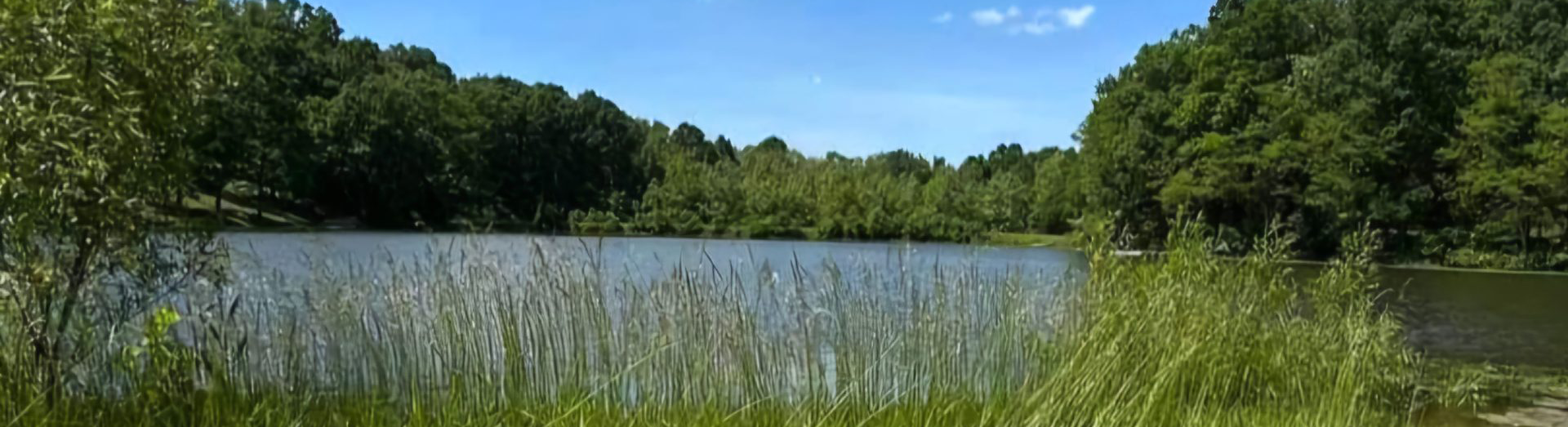 Camp kedesh